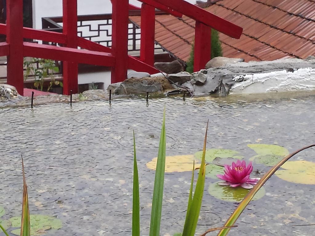 Casa Lily - Japanese Retreat Hotell Sighişoara Eksteriør bilde