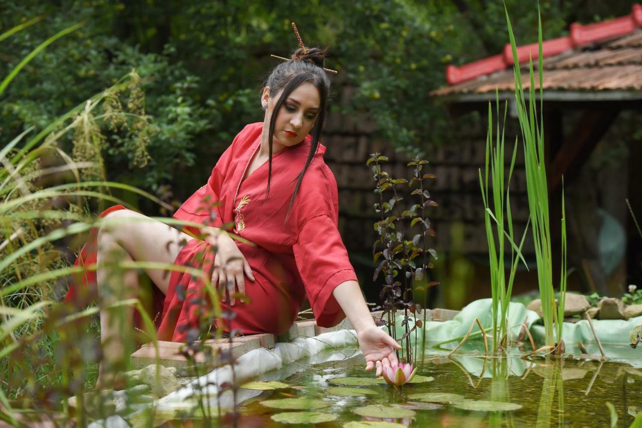 Casa Lily - Japanese Retreat Hotell Sighişoara Eksteriør bilde